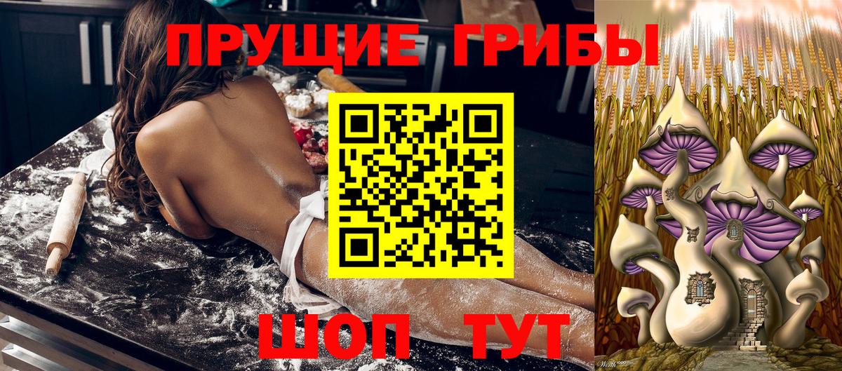 Галлюциногенные грибы прущие грибы Рыбинск